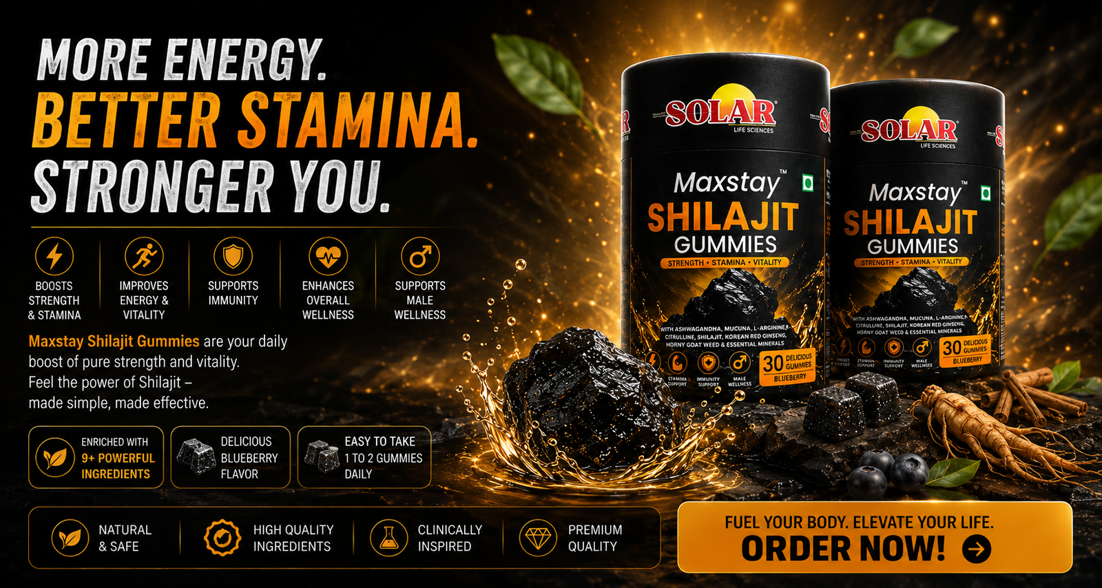 Maxstay Shilajit Gummies